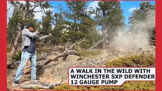 12 Gauge Pump Walk N Wild