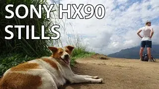 Sony HX90 stills/photo examples