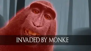 EMBRACE MONKE