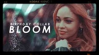 Multifandom [Bloom]