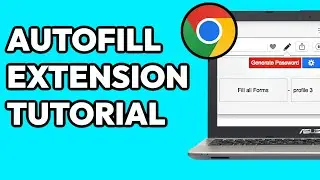 How To Use Autofill Chrome Extension 2024