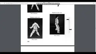 Тхэквондо стойки -Taekwondo Positions