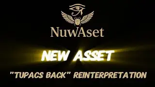 New Asset (Lyrics)