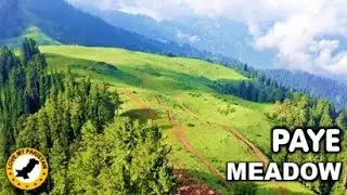 Paye meadow - Shogran - Kalam Valley