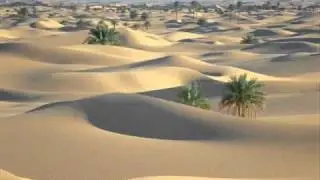 ARABIC MUSIC OUD instrumental ( Mohamed rouane  - EVASION)