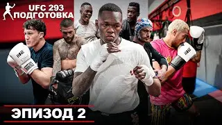 Адесанья и 5 бойцов UFC из Сити Кикбоксинг готовы к войне на UFC 293