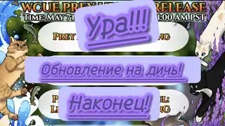 ОБНОВЛЕНИЕ НА ДИЧЬ ! *Когда выйдет?!*В КОТАХ ВОИТЕЛЯХ ROBLOX!