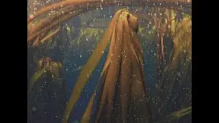 KosmoSuna - Amour de voyage