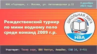Рождественский турнир по мини водному поло. Проект «Мы V команде»