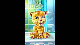 beat boxing ginger the cat