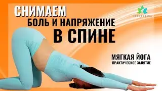 Мягкая йога от Болей в Спине и Мышечного Напряжения. Практическое занятие в Прямом эфире