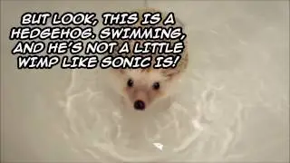 Hedgehog's can SWIM!...well except for SONIC.