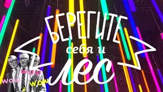 Берегите себя и лес vlog (Концерт в Golden Palace, музей Поле Чудес, катышки и пупырки)