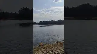 Ярослав Дронов 