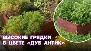 Преобразить свой участок или дачу с нашими грядками в цвете "Дуб Антик"