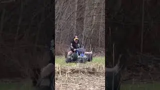 Just Buck Off