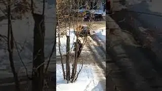 Дедушка на коленях чтобы не упасть на скользкой дороге