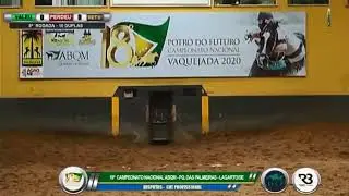 DISPUTA PROFISSIONAL CAMPEONATO NACIONAL 2020 PARQUE DAS PALMEIRAS