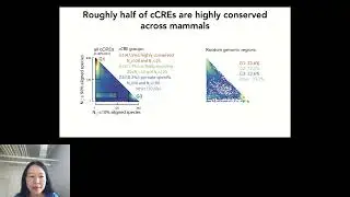 Landscapes of Human cis-regulatory Elements and... - Zhiping Weng - RegSys - Keynote - ISMB 2022