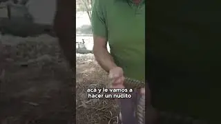 How to make a cow head