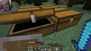 Minecraft: Netherland