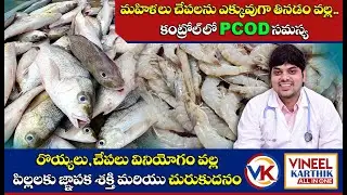 Health Benefits of Eating Prawns and Fish | Health Tips of Sea food  | Vineel Karthik All in One