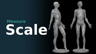 The Magic Measurement In ZBrush (Quick Tip 10)