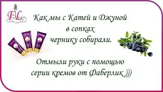 Как мы с Катей и Джуной в сопках чернику собирали