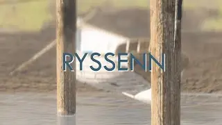 H1Z1 Montage - ryssenn