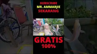bocil mancing di kolam