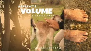 VOLUME 1 a short tale