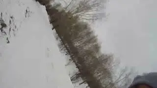 Заяц в овраге. Охота 20.01.2024
