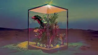 NXN X TRUWER - OASIS