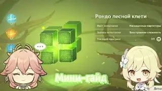 Рондо лесной клети||МИНИ-ГАЙД