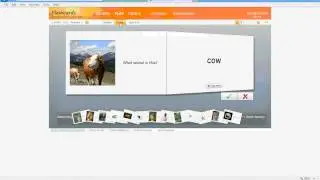 Curso de Flashcards