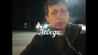 Лебеди  Андрей Лаврентьев