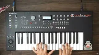 The Elektron Analog Keys as a Four Voice POLY SYNTH! // Dawless Jammin' [ Ep. 16 ]