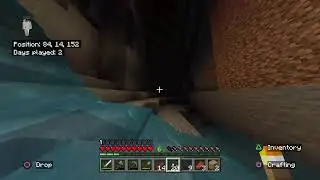 Minecraft stream