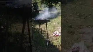 Выбрались на речку.