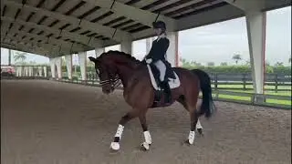Henry warm up June 2024
