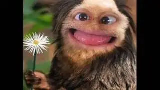 Parodie de Viens chez moi j'habite chez une copine chanter par Pascal