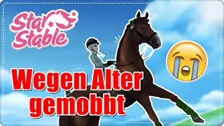 😨 ER (32) wurde angezeigt, weil er SSO spielt..! - eure Geschichten #12 || SSO