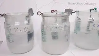 Плазменные Реакторы: новые интересные наблюдения. Виктор Белоглазов | Плазменная вода