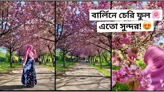 জার্মানিতে চেরি ফুলের উৎসব 🌸 | Cherry Blossom in Berlin | Meems TravelHive