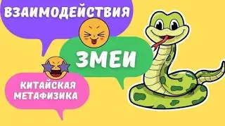 Все взаимодействия земной ветви Змея с другими зверьками в карте бацзы