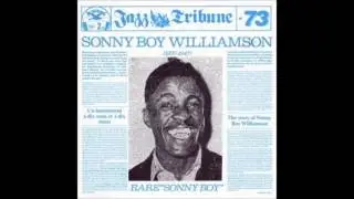 Sonny Boy Williamson, Blues that made me drunk