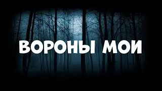 SHAMAN - ВОРОНЫ МОИ | КЛИП - MR STAR