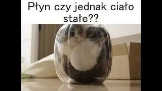Czy koty to płyny?