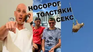 Носорог, толстяки-политики и секс - смешные новости!