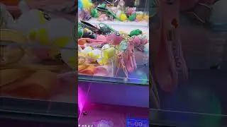 미니 뽑기 18